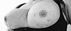 Bild 14132